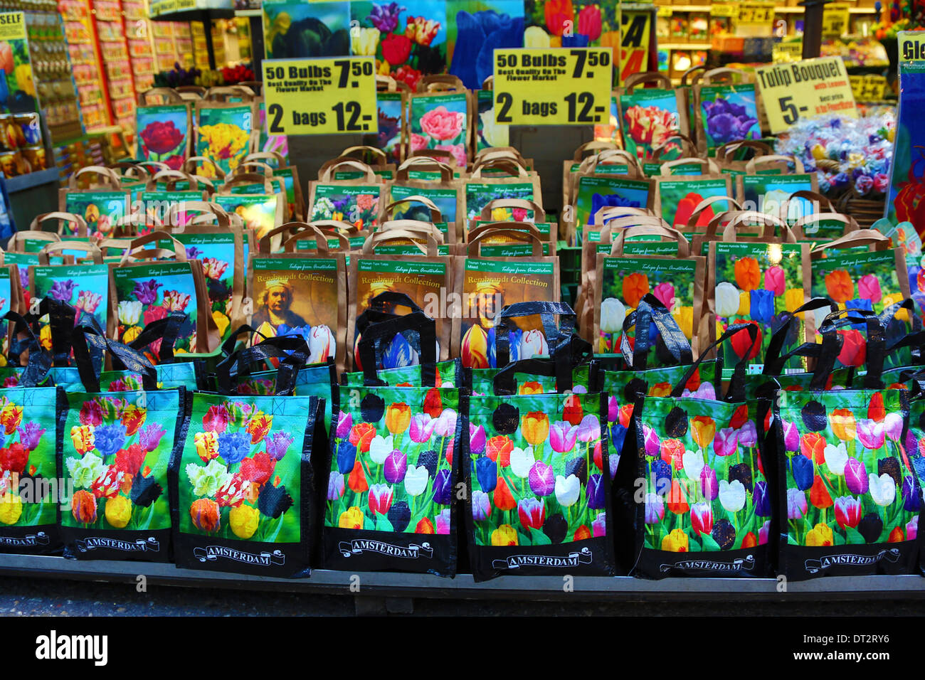 Tulip lampadina souvenir presso il mercato dei fiori di Amsterdam, Olanda Foto Stock
