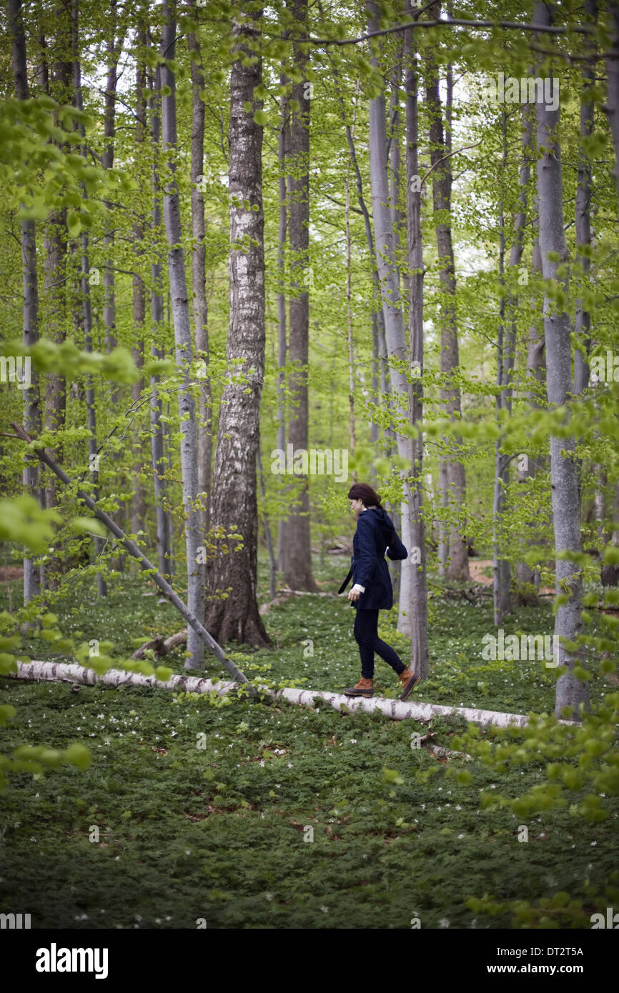 Una donna che cammina lungo un albero caduto tronco nel bosco il bilanciamento sul pezzo ristretto di legno Foto Stock