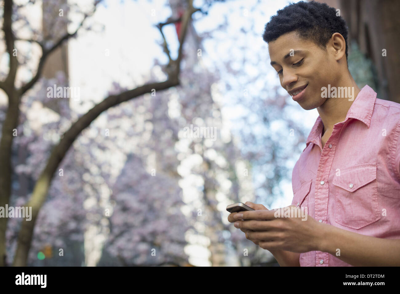 Un giovane uomo nel Parco in primavera utilizzando un telefono cellulare Foto Stock