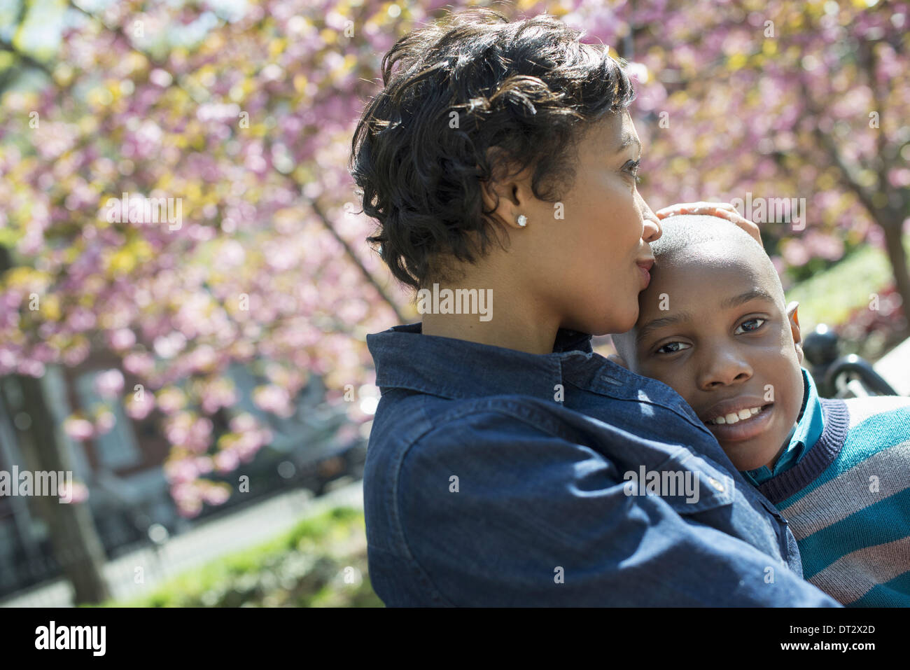 Sole e fiori di ciliegio una madre e figlio di trascorrere del tempo insieme Foto Stock