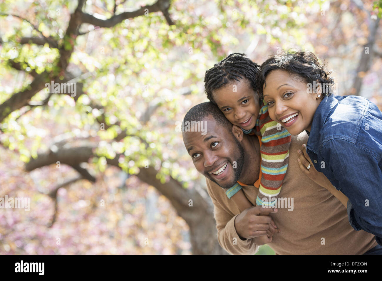 Sole e fiori di ciliegio un padre che porta il suo figlio sulle spalle Foto Stock