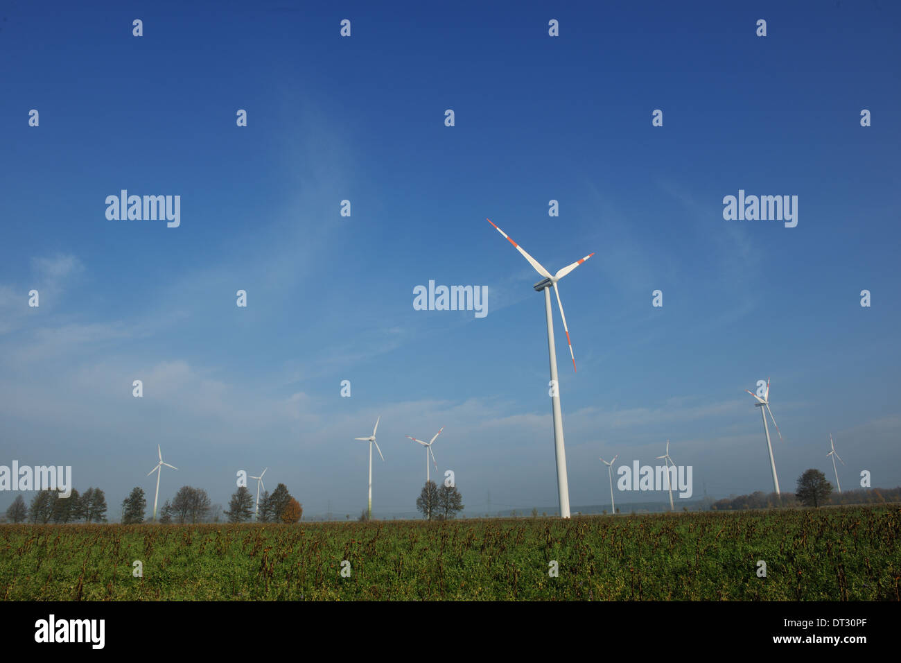 Turbina eolica la generazione di elettricità ecologica Foto Stock