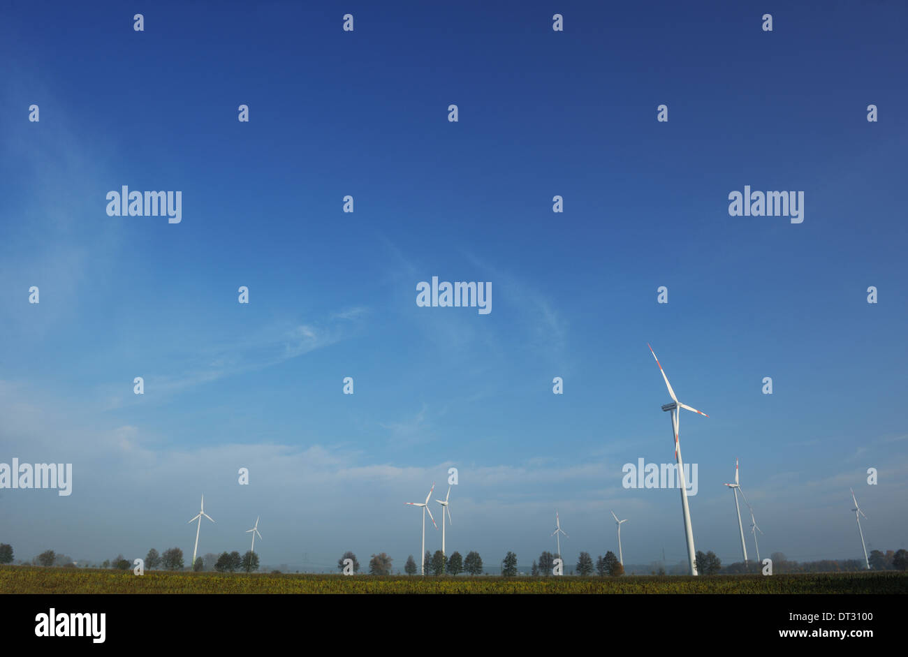 Turbina eolica la generazione di elettricità ecologica Foto Stock