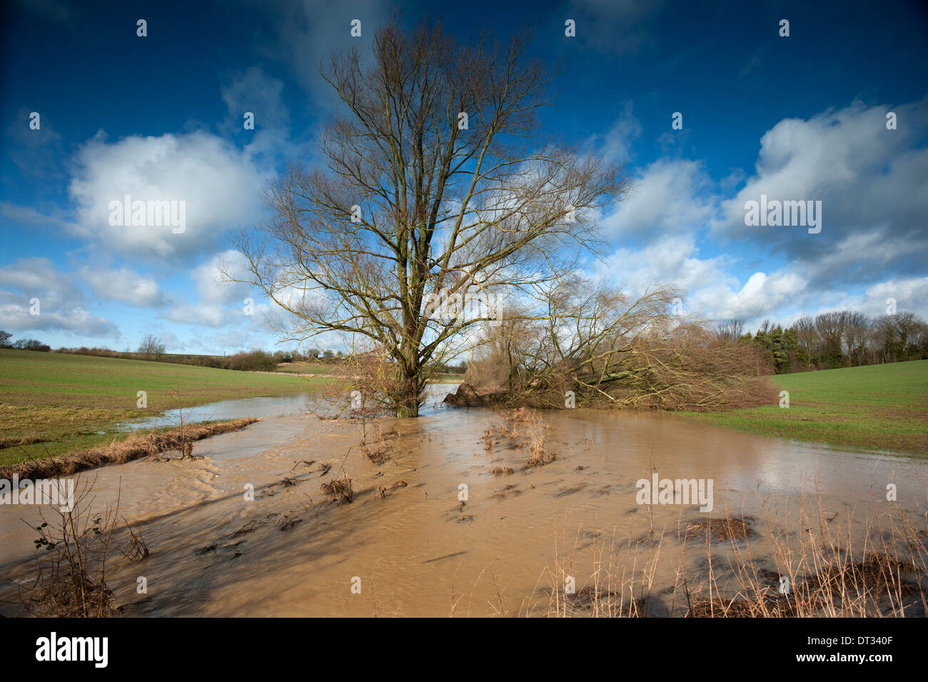 River Chelmer rompe le banche e le inondazioni farmland, Thaxted, Essex, Inghilterra, Regno Unito. 7 Feb 2014 Foto Stock