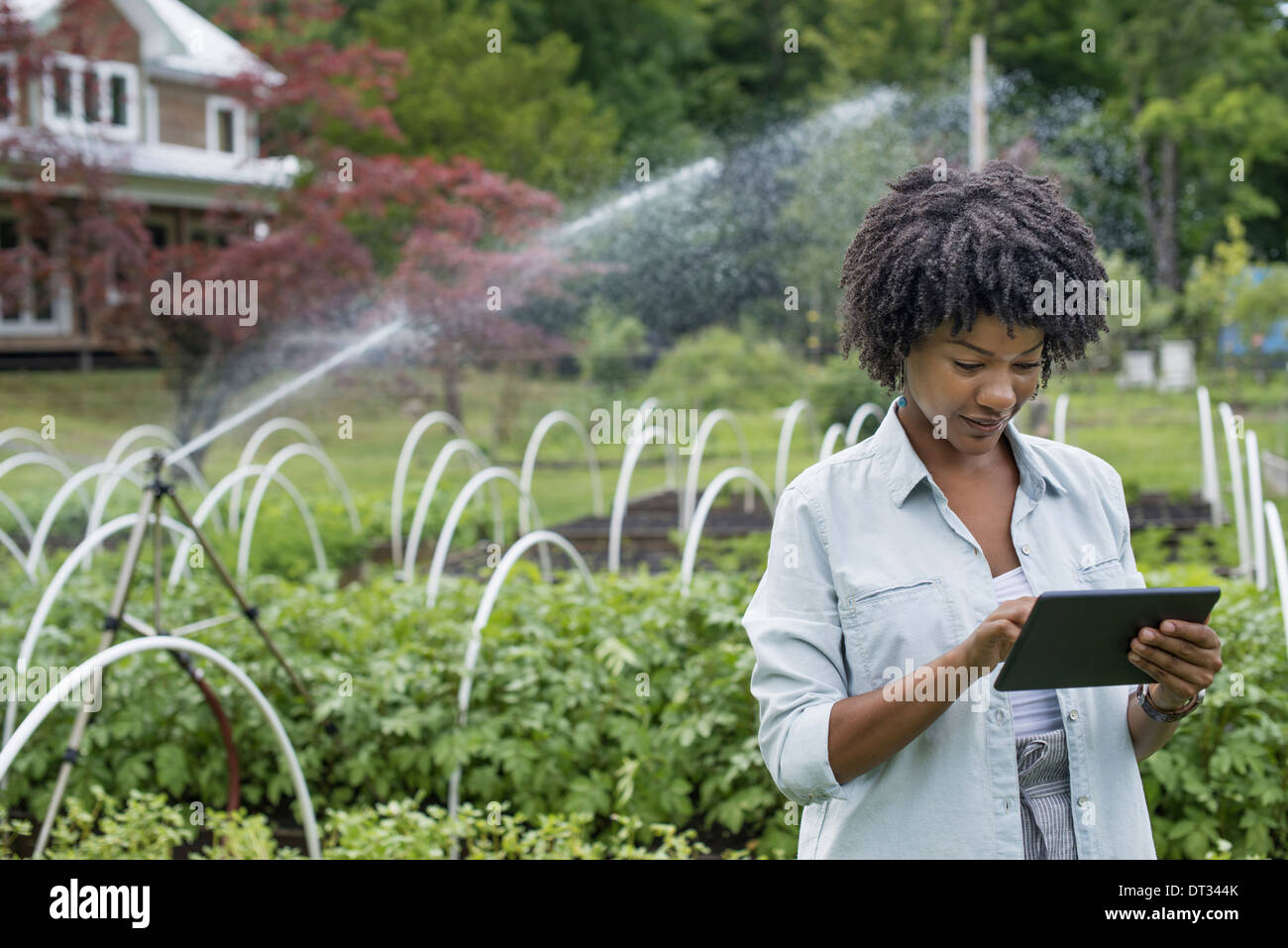Una donna in possesso di una tavoletta digitale Foto Stock