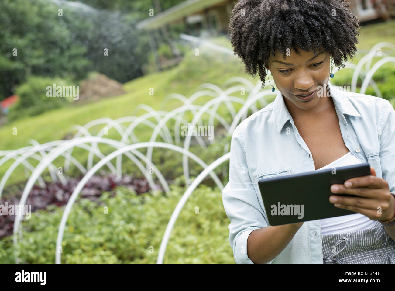 Una donna in possesso di una tavoletta digitale Foto Stock