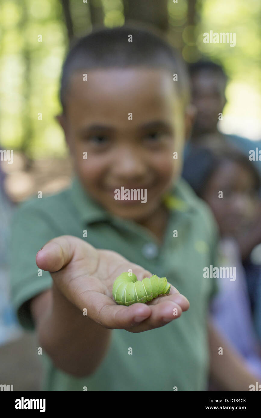 Un ragazzo tenendo un grasso caterpillar verde Foto Stock