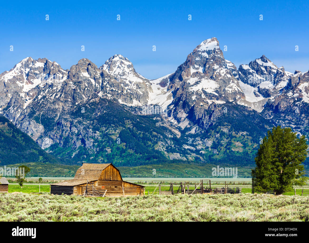 Storico fila Mormone, Grand Teton National Park, Jackson Hole valley, Wyoming USA Foto Stock