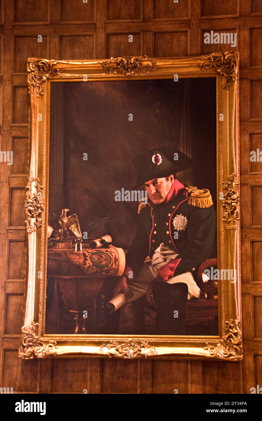 Dundee, Scotland, Regno Unito. Il 7 febbraio, 2014. Il Malmaison è un stile francese lussuoso ed esclusivo hotel formalmente la storica Tay Hotel ed è un elencati C edificio. In apertura di giornata è stato giovedì 6 febbraio 2014 di Dundee. La pittura di Napoleone Bonaparte in prossimità di una delle sale per banchetti all'interno del Malmaison Hotel. Credito: Dundee fotografico / Alamy Live News Foto Stock