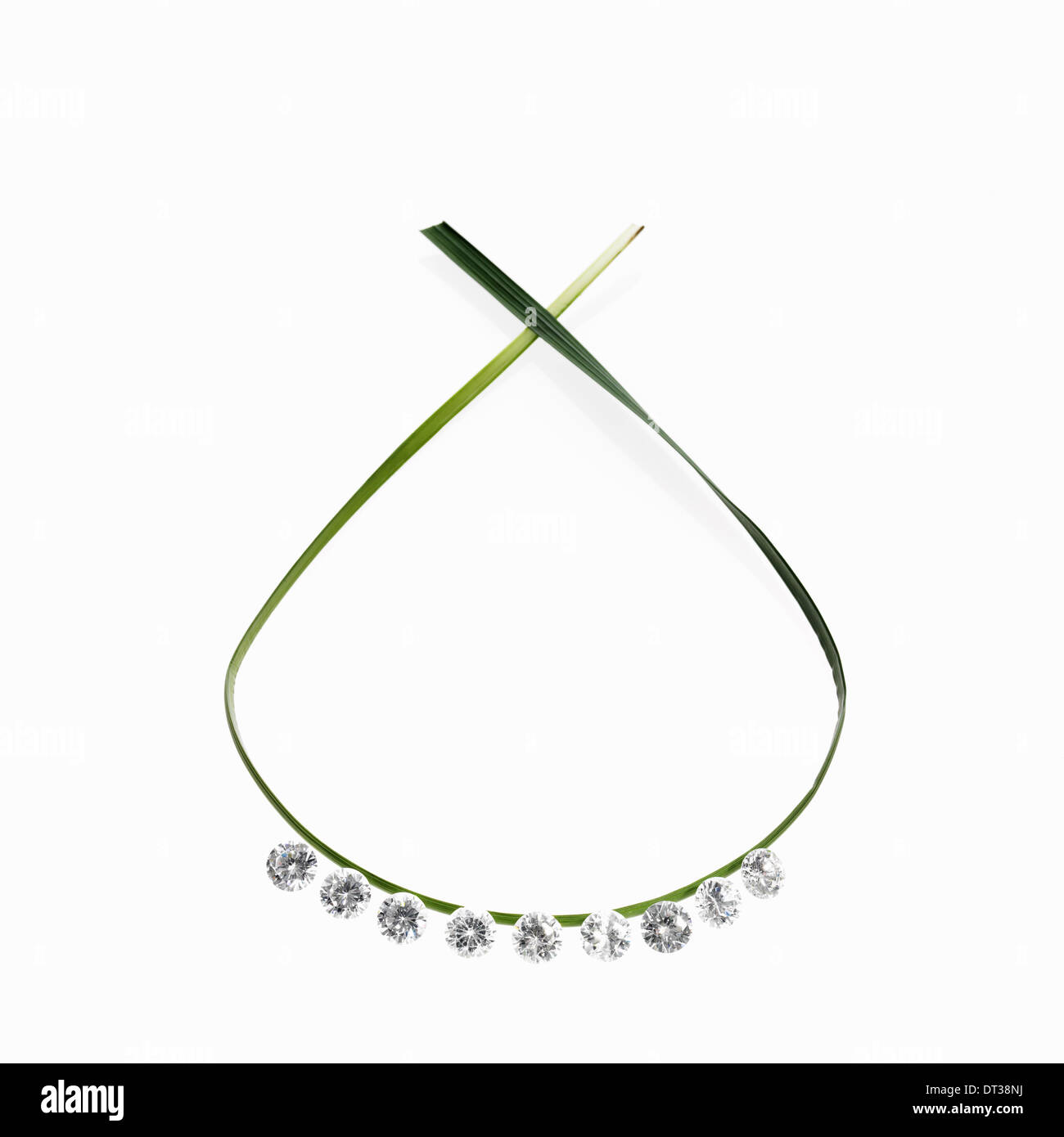 Un sottile cinturino verde foglia in un loop con il piccolo gioiello scintillante tagliare chiaro perline di vetro. Una collana con una sensazione naturale. Foto Stock