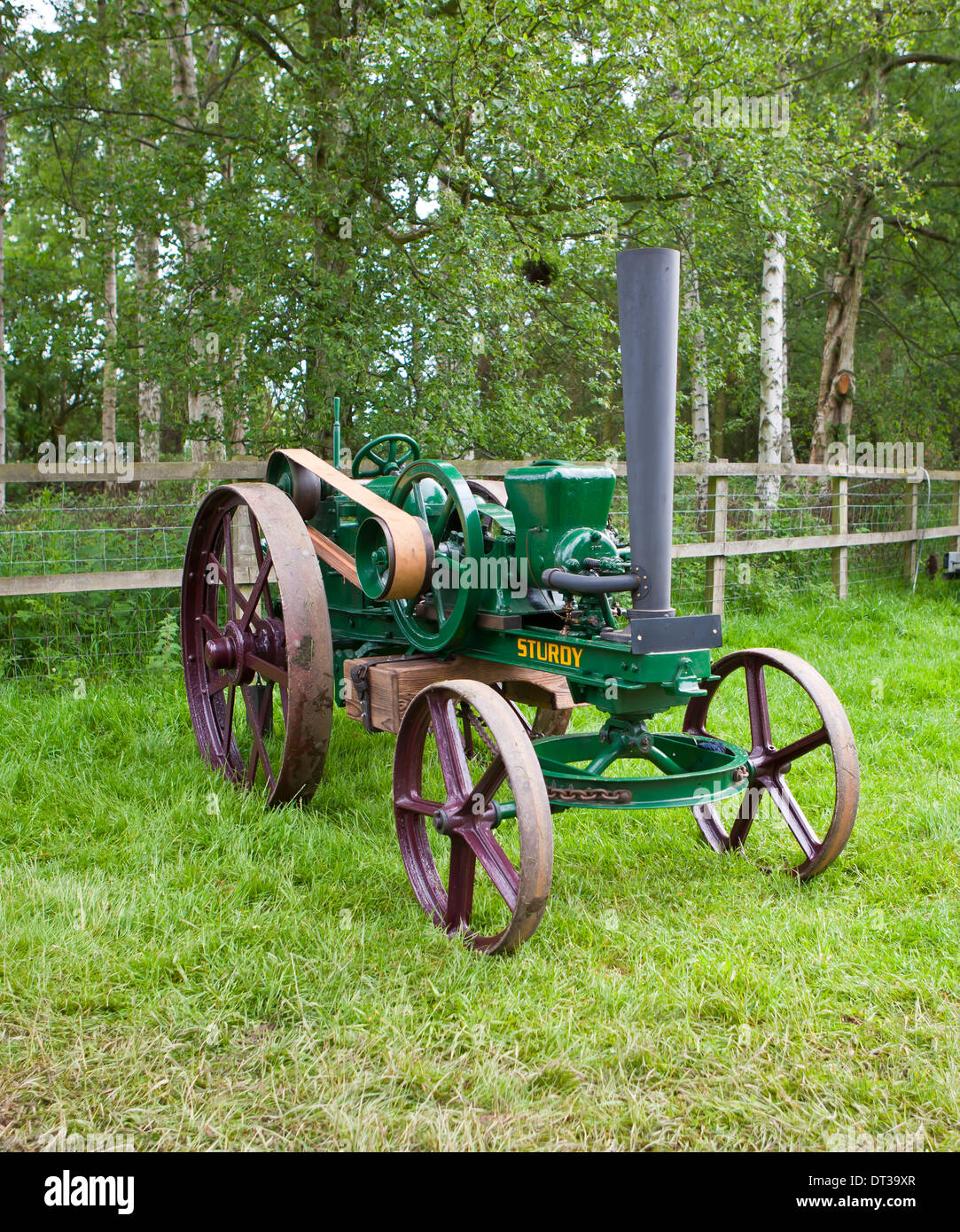 1920 Fabbri robusta Foto Stock