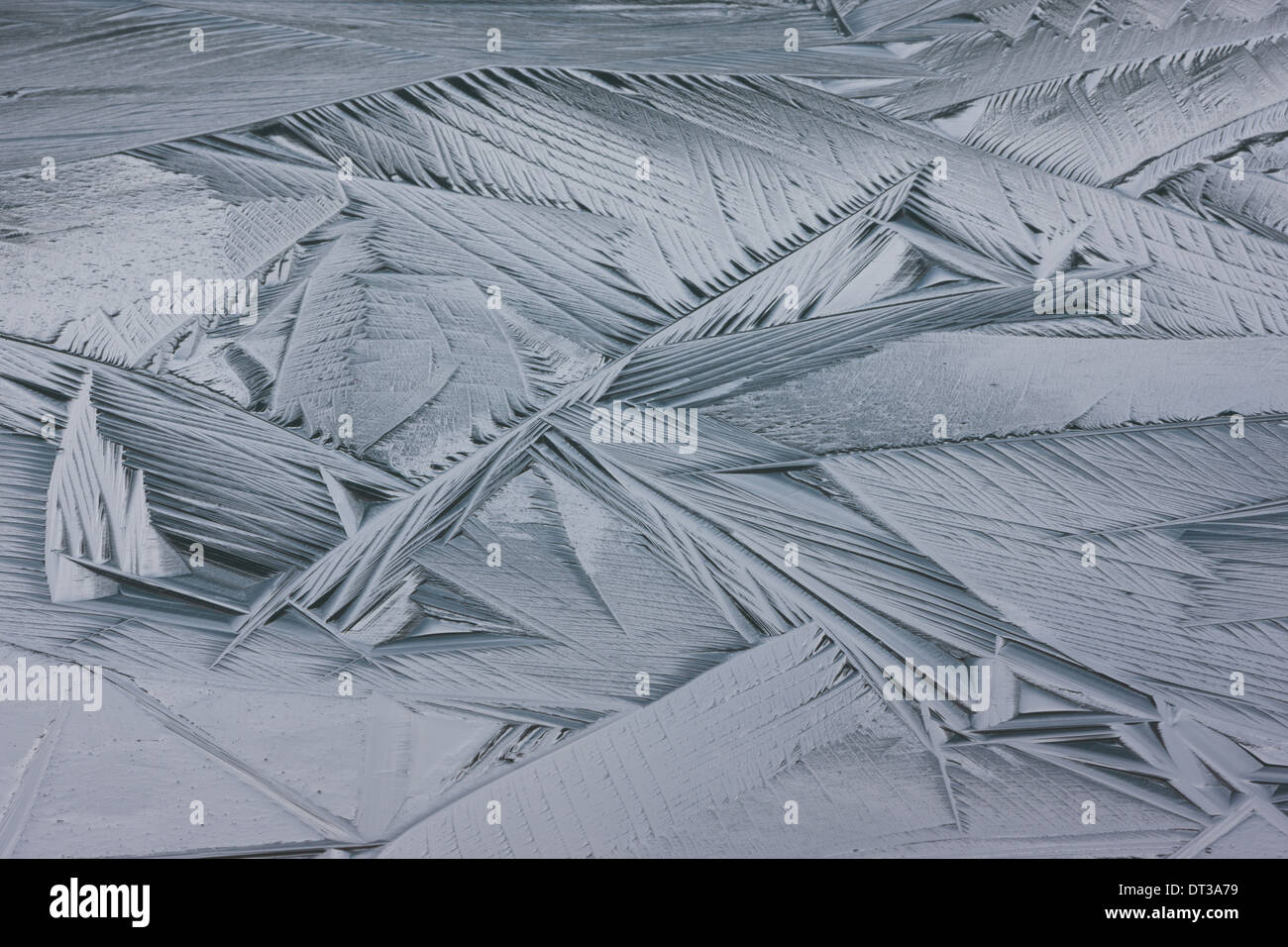 I cristalli di ghiaccio, il Parco Nazionale di Jasper, Alberta, Canada Foto Stock