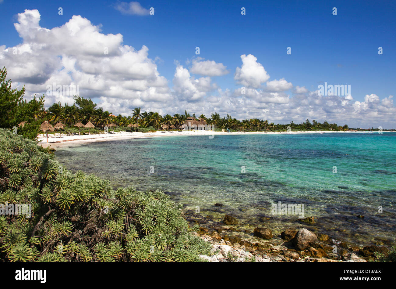 Il mar dei Caraibi a Riviera Maya Riviera Maya Cancun Penisola dello Yucatan Messico America del Nord Foto Stock