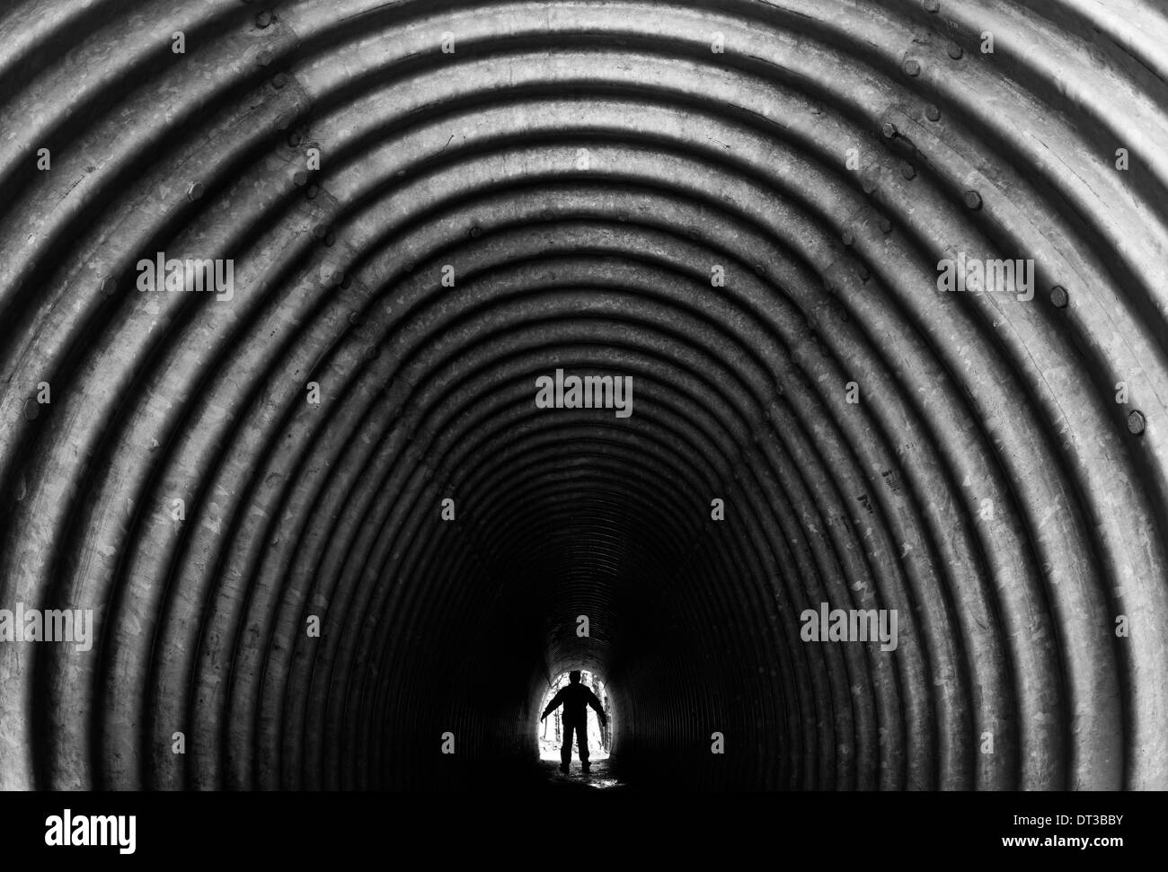 Tunnel pedonale, il Parco Nazionale di Olympic, Washington, Stati Uniti d'America Foto Stock