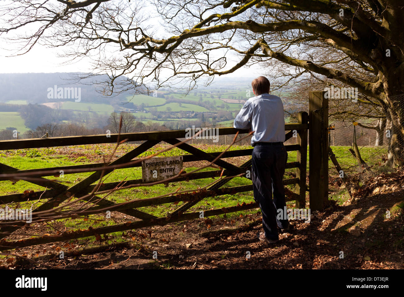 L'uomo godendo la vista su tutta la campagna Devon da Gittisham Hill, Gittisham, Devon Foto Stock