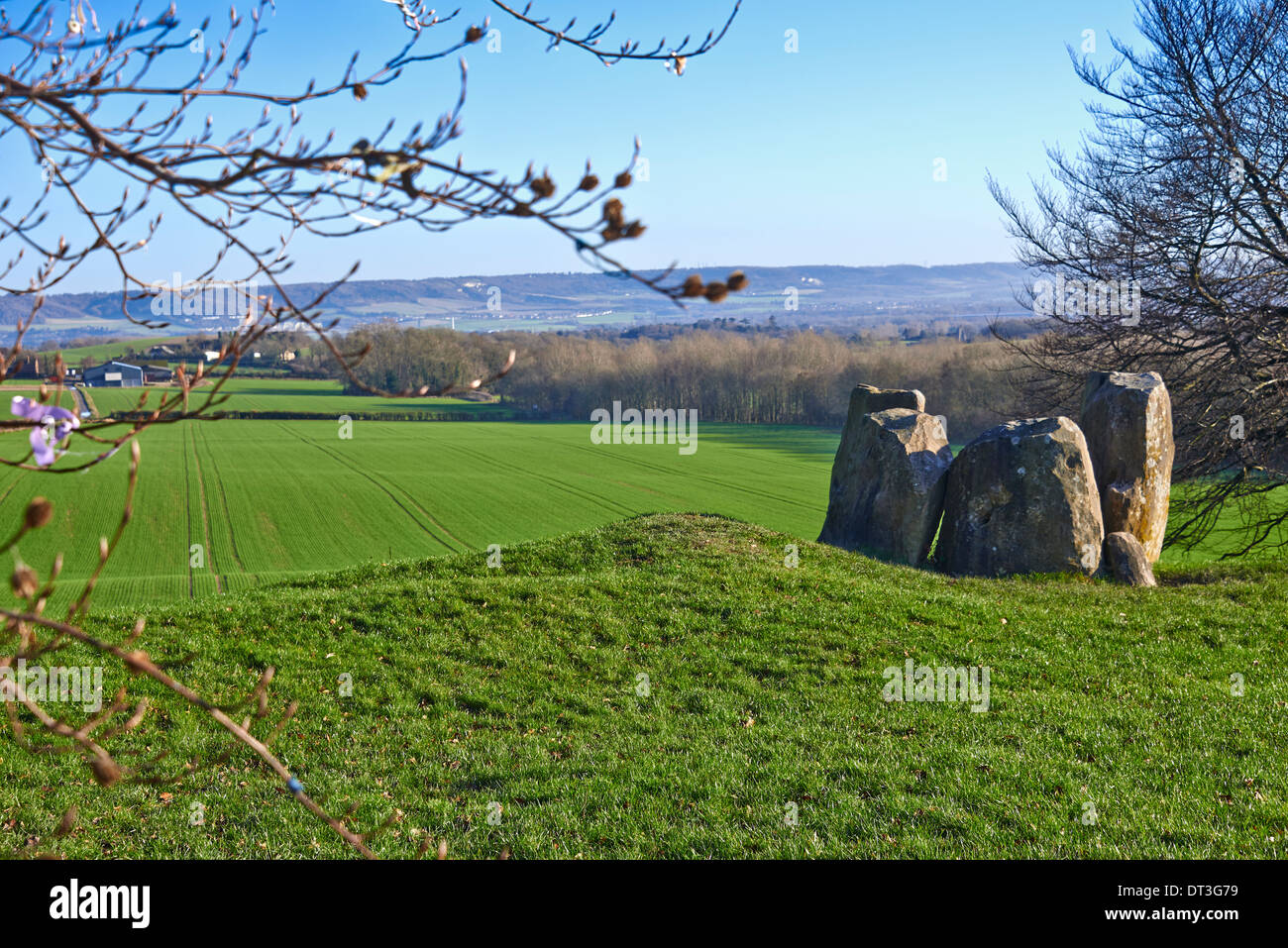 Il Coldrum Long Barrow, noto anche come le pietre Coldrum, sono i resti di un chambered long barrow Foto Stock