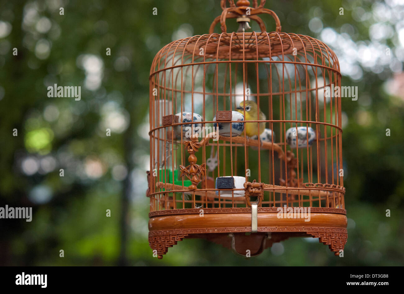 Scolpiti in legno Bird Cage a Hua Mei Bird Garden in New York Chinatown Foto Stock