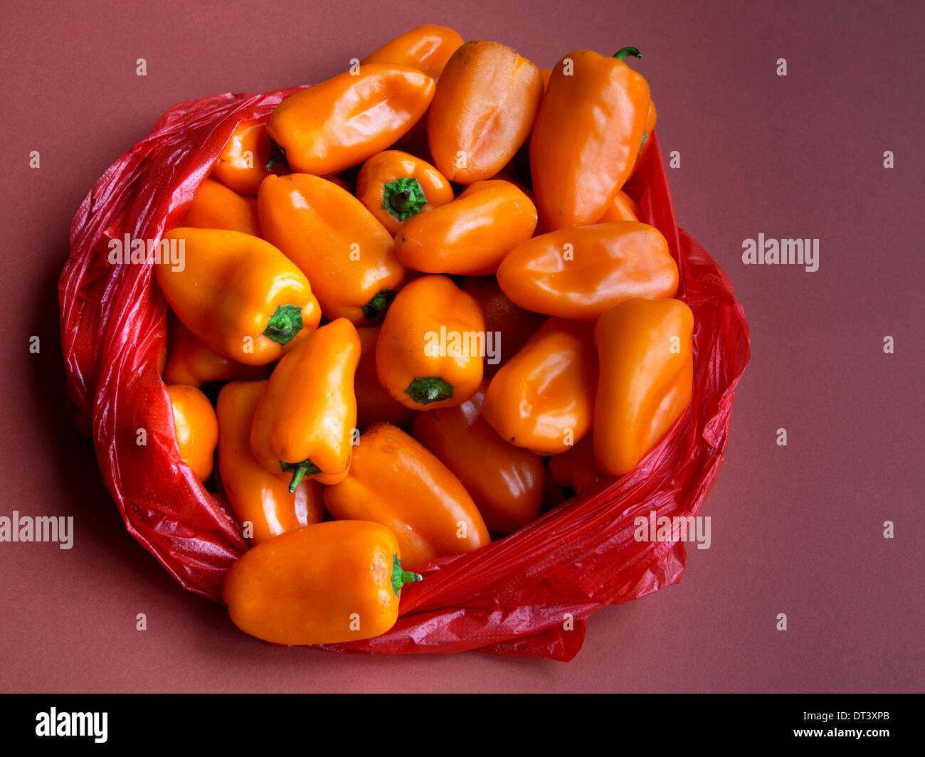In rosso di un sacchetto di plastica si trova Apri per visualizzare alcune belle-cercando di color arancione capsicum peppers Foto Stock