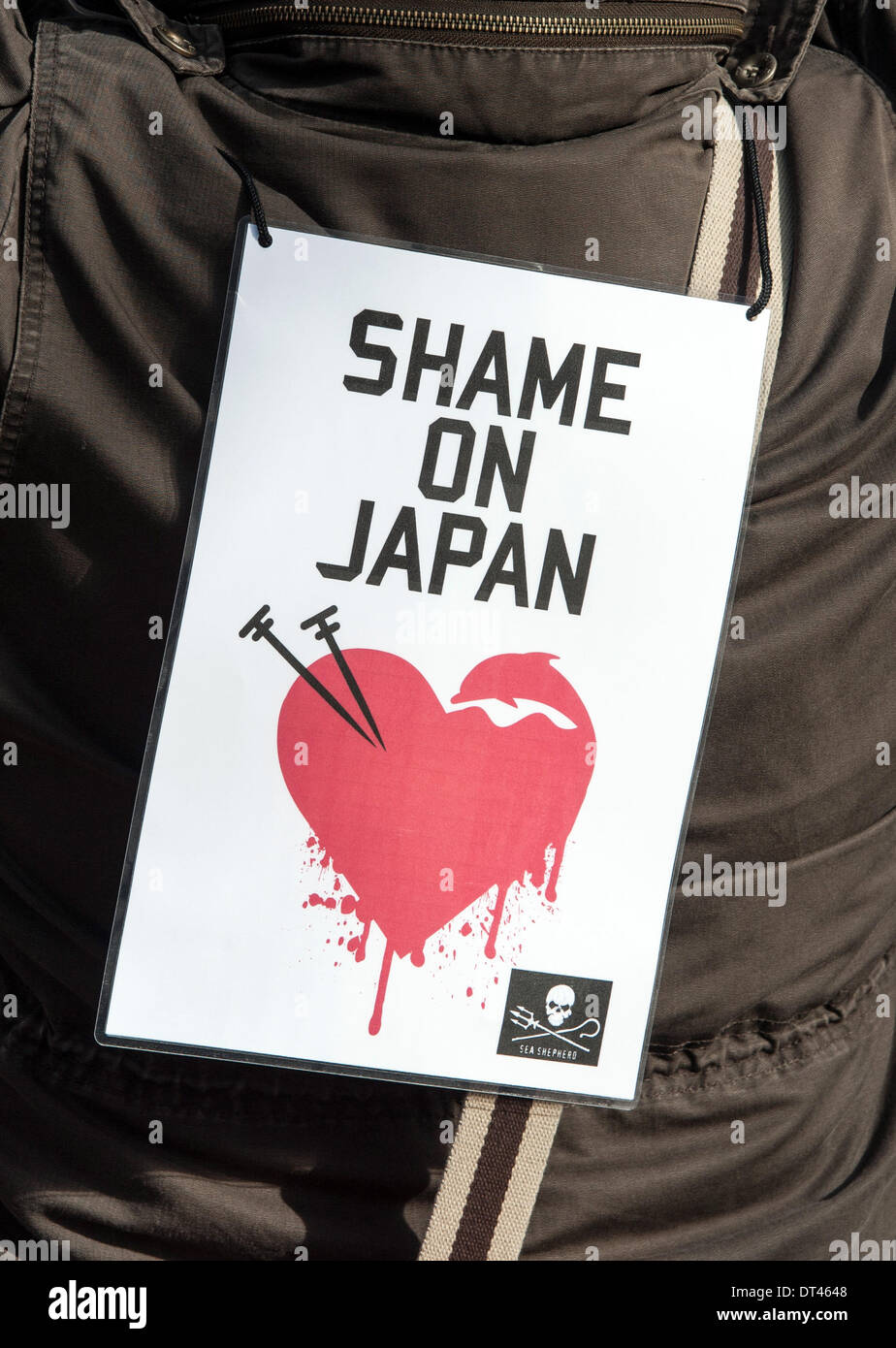 Berlino, Germania. 8 febbraio 2014. Un poster legge 'Shame sul Giappone" in occasione di una manifestazione contro l'uccisione di delfini nel Taiji (Giappone), che è stato organizzato da diritti degli animali gruppo WDSF, a Berlino. Secondo la polizia, circa un migliaio di persone hanno manifestato contro la uccisione di delfini fuori della costa giapponese di fronte all'ambasciata giapponese a Berlino. . Foto: PAOLO ZINKEN/DPA - NESSUN SERVIZIO DI FILO/KEIN BILDFUNK- Credito: dpa picture alliance/Alamy Live News Foto Stock