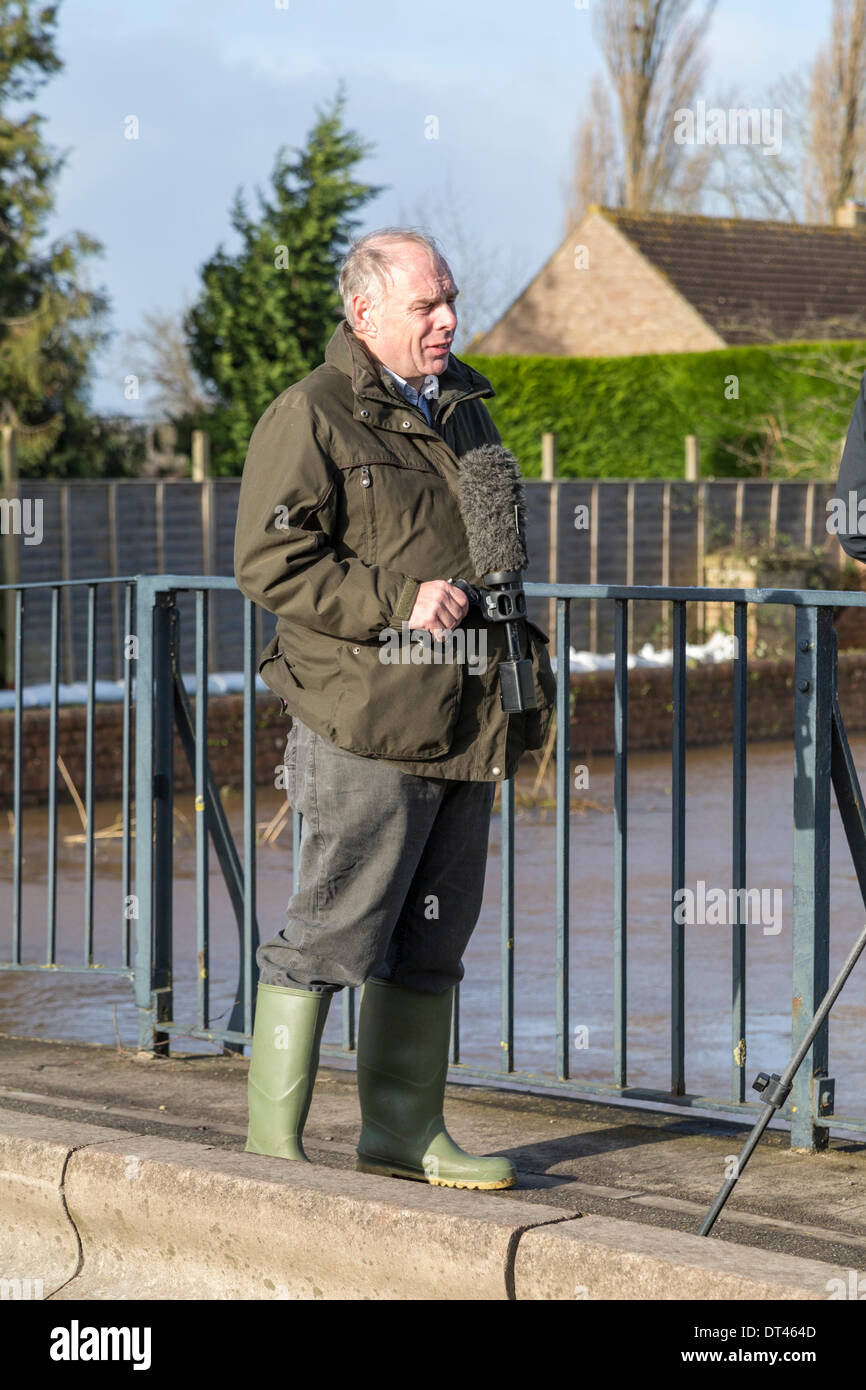 Burrowbridge, Somerset, Regno Unito. 8 febbraio 2014. MP conservatore il sig. Ian Liddell-Grainger essendo intervistato da BBC News del 8 febbraio 2014 in piedi sul ponte sopra il fiume Parrett nuovi membri sulla A361 a Burrowbridge, Somerset. A causa delle pesanti piogge, i fiumi Parrett nuovi membri e Tone Burst hanno le loro banche inondazioni nei dintorni di terreni agricoli e di lasciare le case sott'acqua. A seguito delle visite effettuate da Lord Chris Smith e David Cameron ieri, una grave alluvione avviso resta e alcuni occupanti sono state raccontate da evacuare. Il Somerset livelli hanno vissuto la peggiore inondazione nella storia vivente. Credito: Nick Cable/Alamy Live Foto Stock