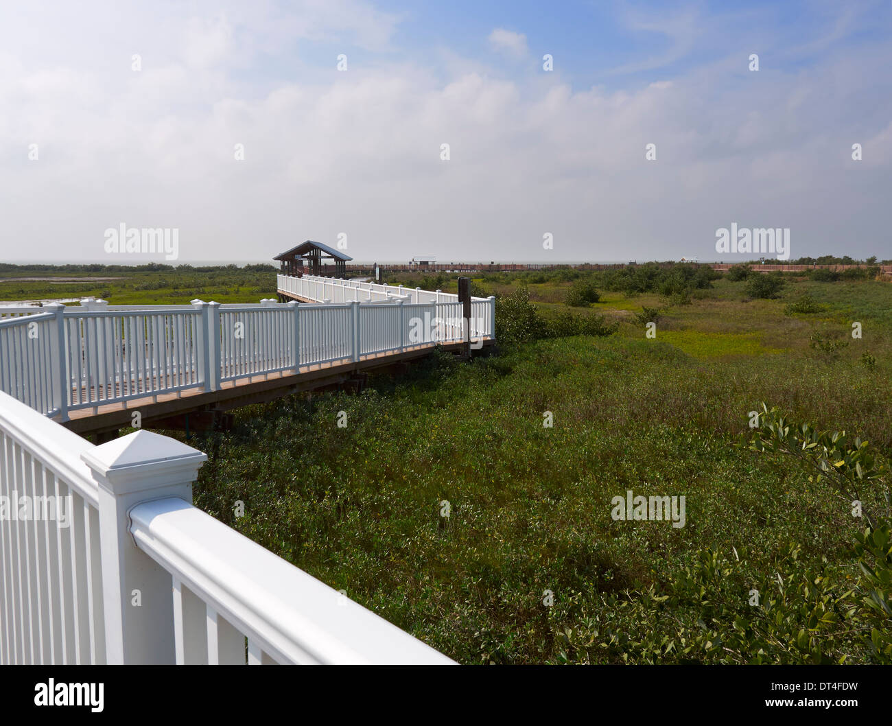 South Padre Island birdwatching e Centro Natura, Texas Gulf Coast Foto Stock