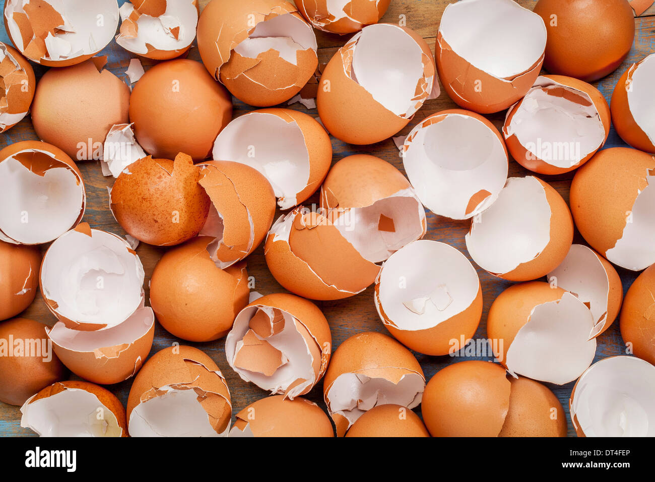 Rotture di pollo marrone vuoto sfondo eggshels Foto Stock