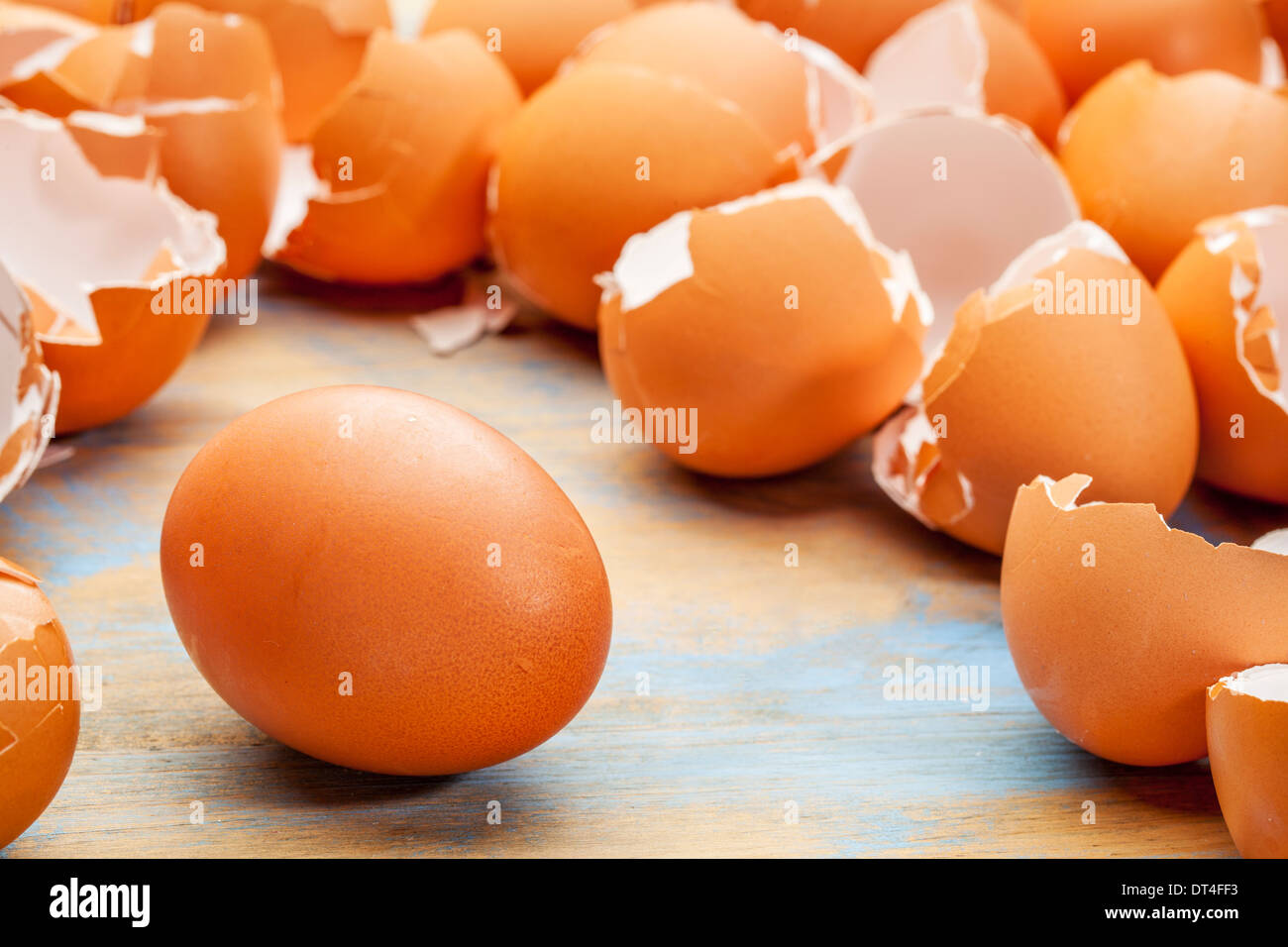 Brown uovo di pollo e vuoto, rotte eggshels su uno sfondo di legno Foto Stock