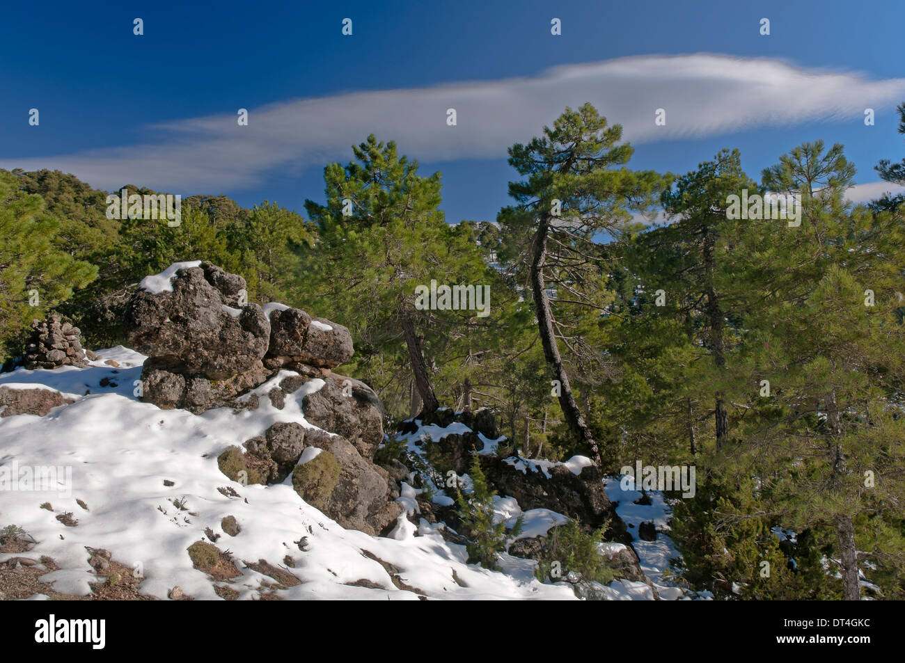 Paesaggio nevicato, Parco Naturale Sierras de Cazorla Segura y Las Villas, Jaen-provincia, regione dell'Andalusia, Spagna; Europa Foto Stock