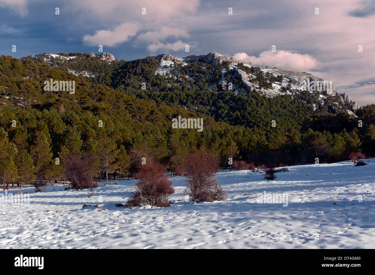 Paesaggio nevicato, Parco Naturale Sierras de Cazorla Segura y Las Villas, Jaen-provincia, regione dell'Andalusia, Spagna, Europa Foto Stock