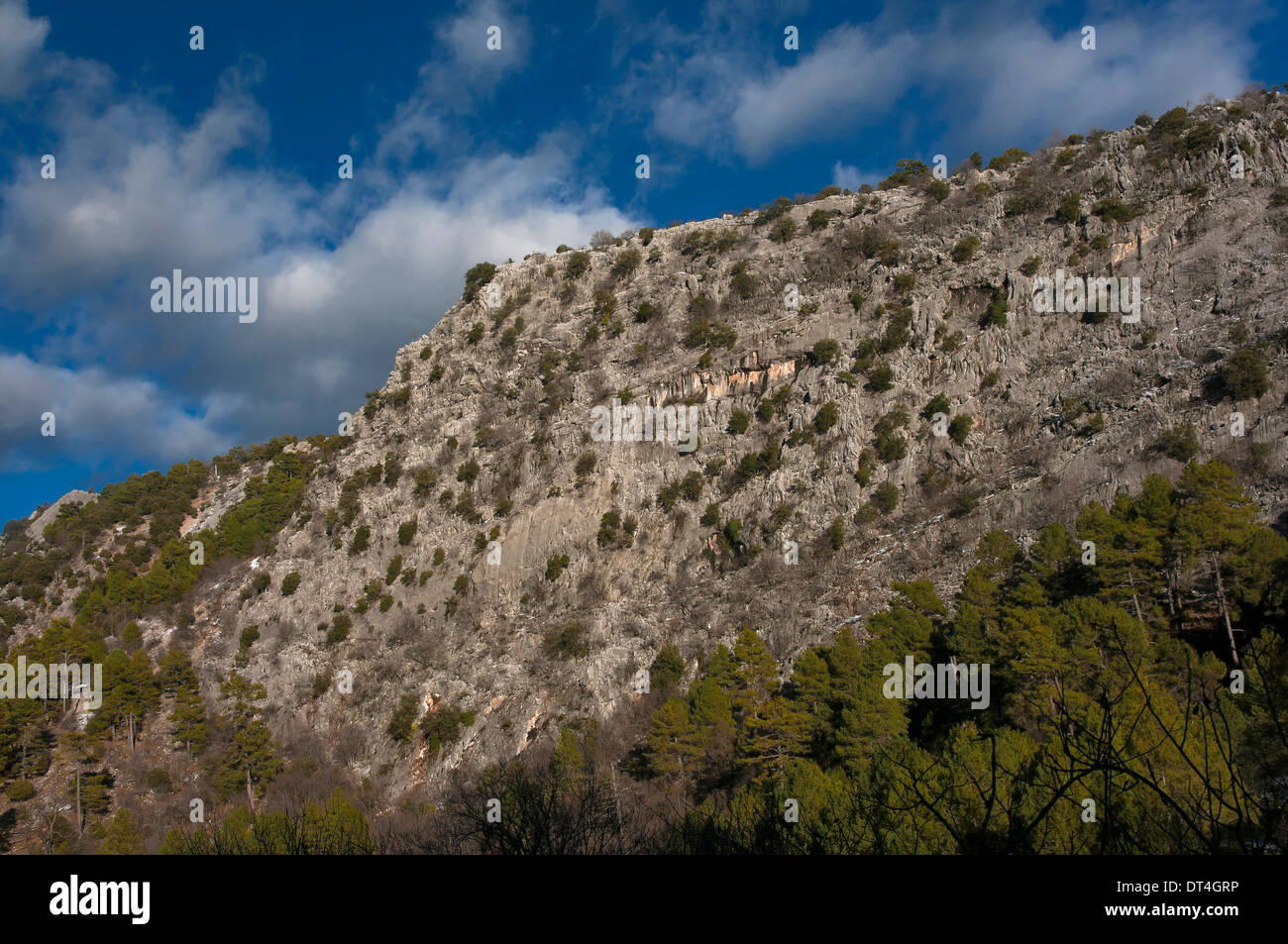 Paesaggio roccioso, Parco Naturale Sierras de Cazorla Segura y Las Villas, Jaen-provincia, regione dell'Andalusia, Spagna, Europa Foto Stock