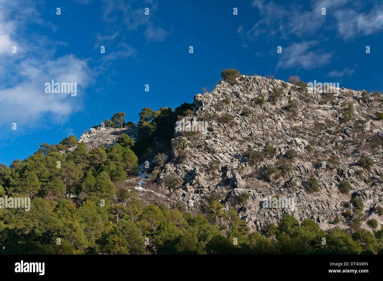 Paesaggio roccioso, Parco Naturale Sierras de Cazorla Segura y Las Villas, Jaen-provincia, regione dell'Andalusia, Spagna; Europa Foto Stock