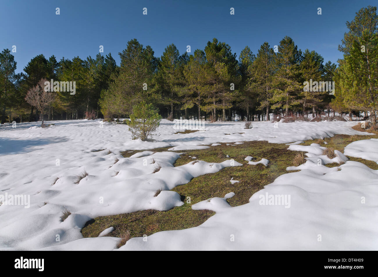 Paesaggio nevicato, Parco Naturale Sierras de Cazorla Segura y Las Villas, Jaen-provincia, regione dell'Andalusia, Spagna; l'Europa, Foto Stock