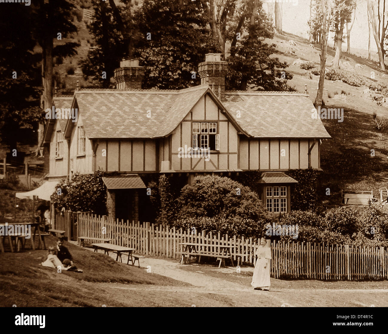 Mount Edgcumbe Park - cottage in legno di faggio - inizio novecento Foto Stock