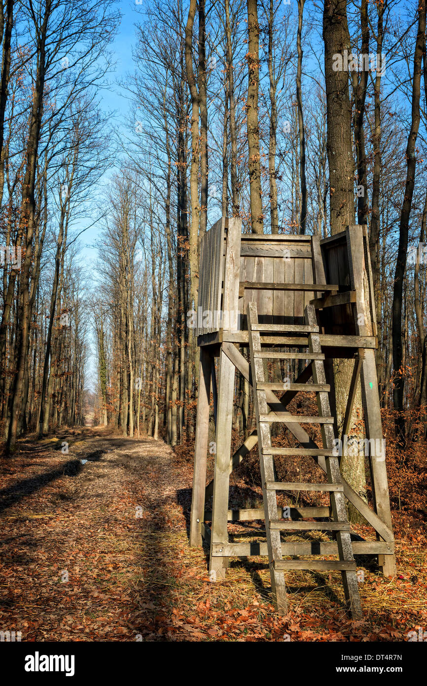 Il cacciatore di stand nella foresta Foto Stock
