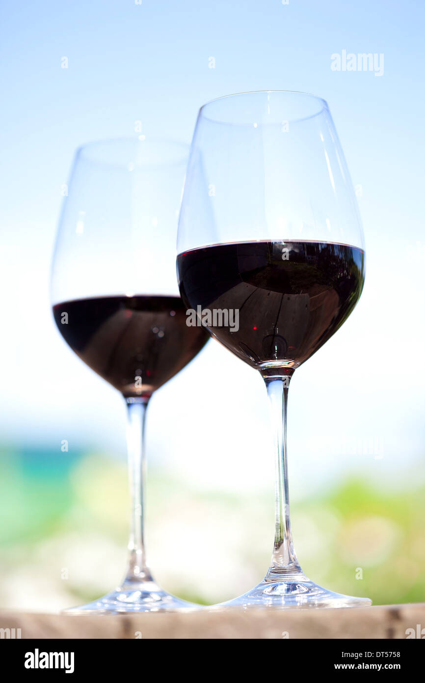 Due bicchieri di vino rosso al di fuori su sfondo natura Foto Stock