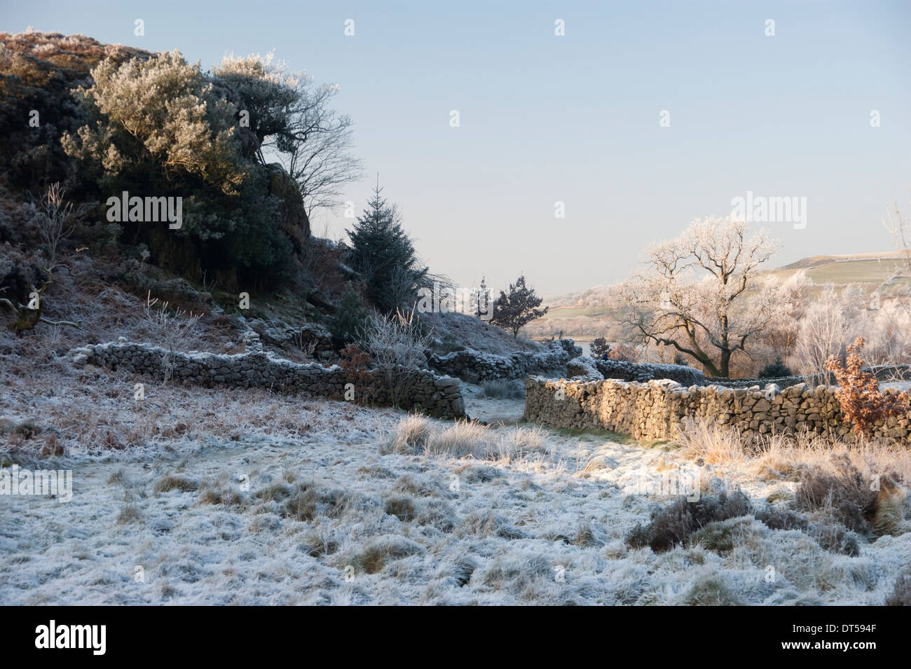 Un gelido inverno scena dalle rive del Ennerdale, Lake District, Inghilterra. Foto Stock