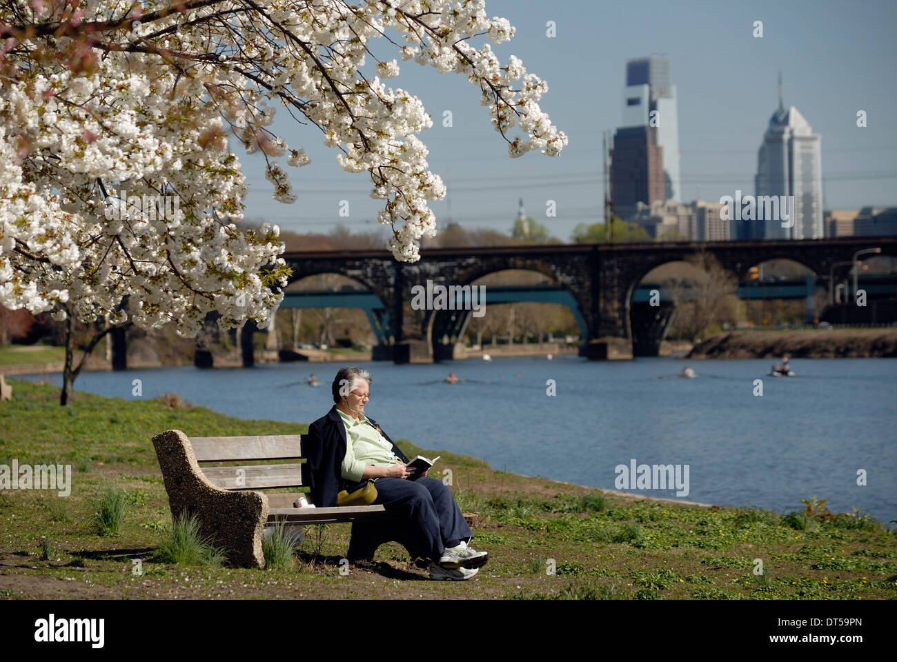 Donna lettura in Fairmount Park lungo le rive del fiume Schuylkill in Philadelphia, durante la fioritura dei ciliegi tempo. Foto Stock