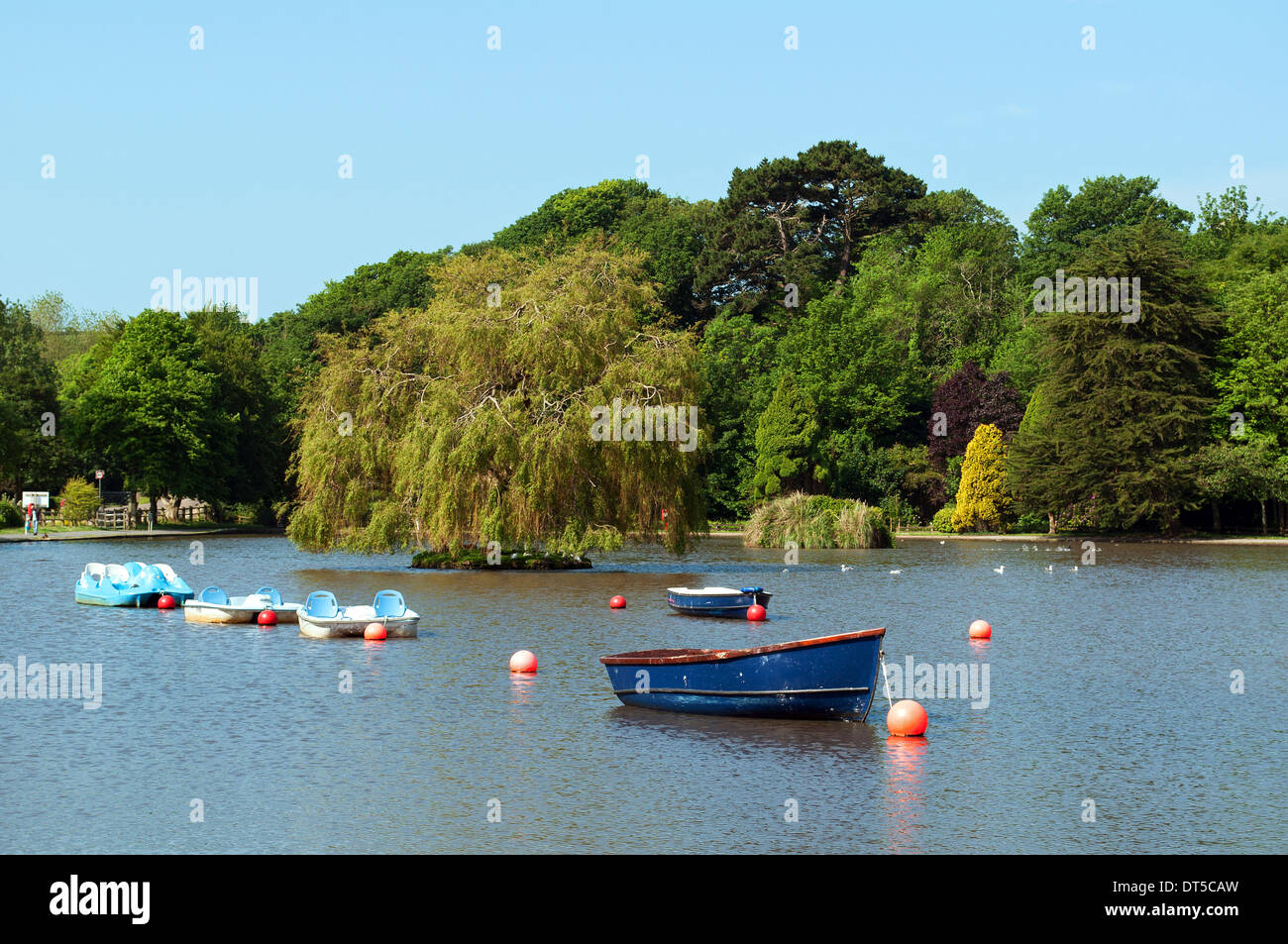 Incoronazione parco sul lago in barca, Helston, Cornwall, Regno Unito Foto Stock