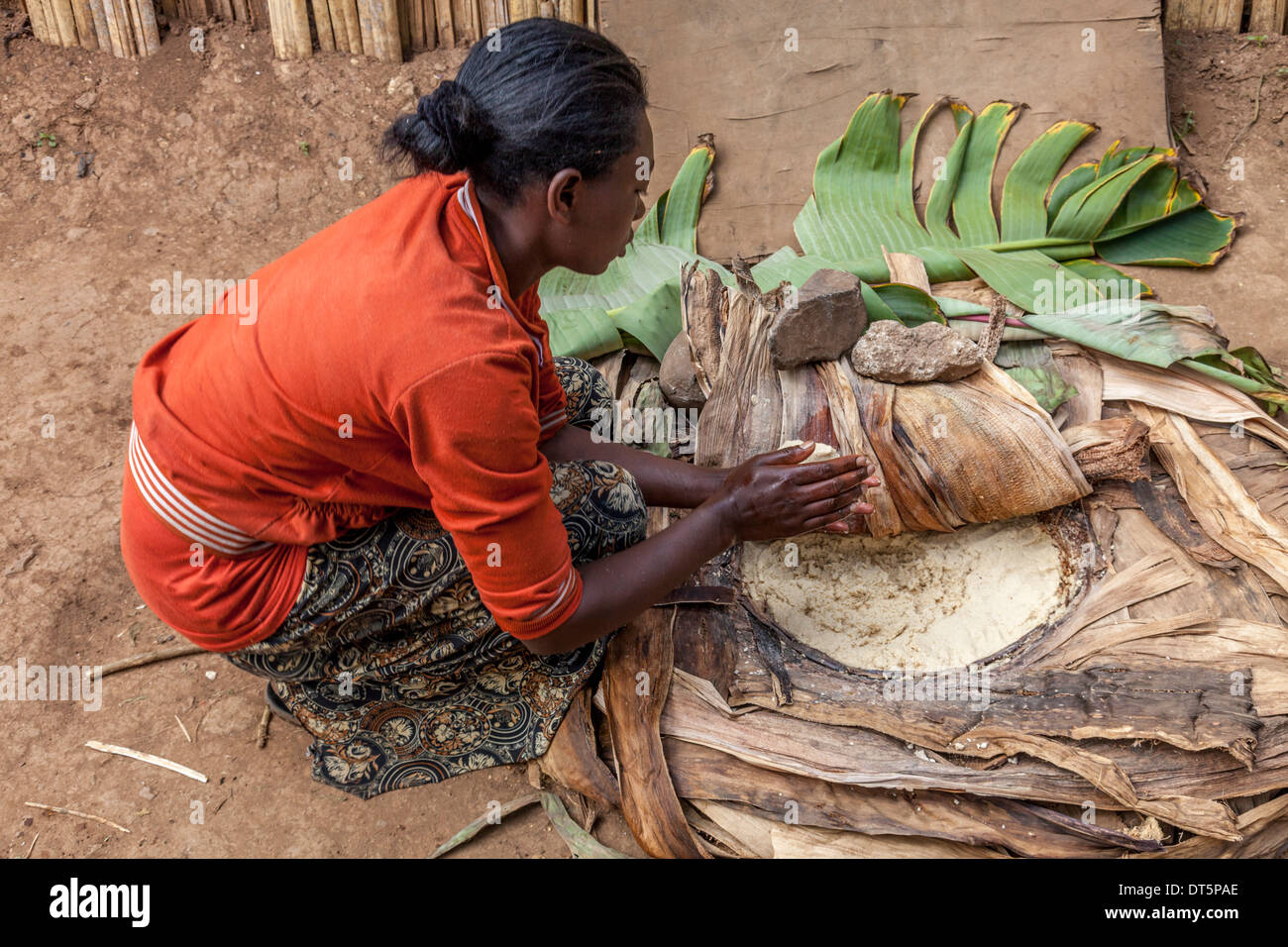 Una donna Dorze prepara Kocho (pane azzimo) Realizzato dal falso albero di banana, Hayzo Village, Arba Minch, Etiopia Foto Stock