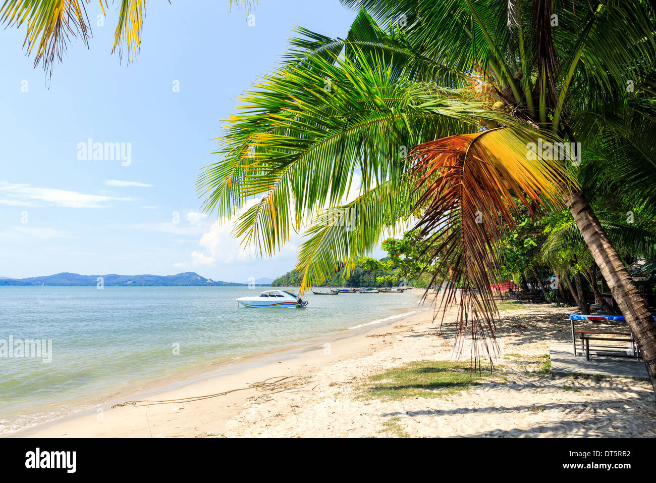 Spiaggia perfetta in Thailandia con sabbia bianca, palme e cielo blu Foto Stock