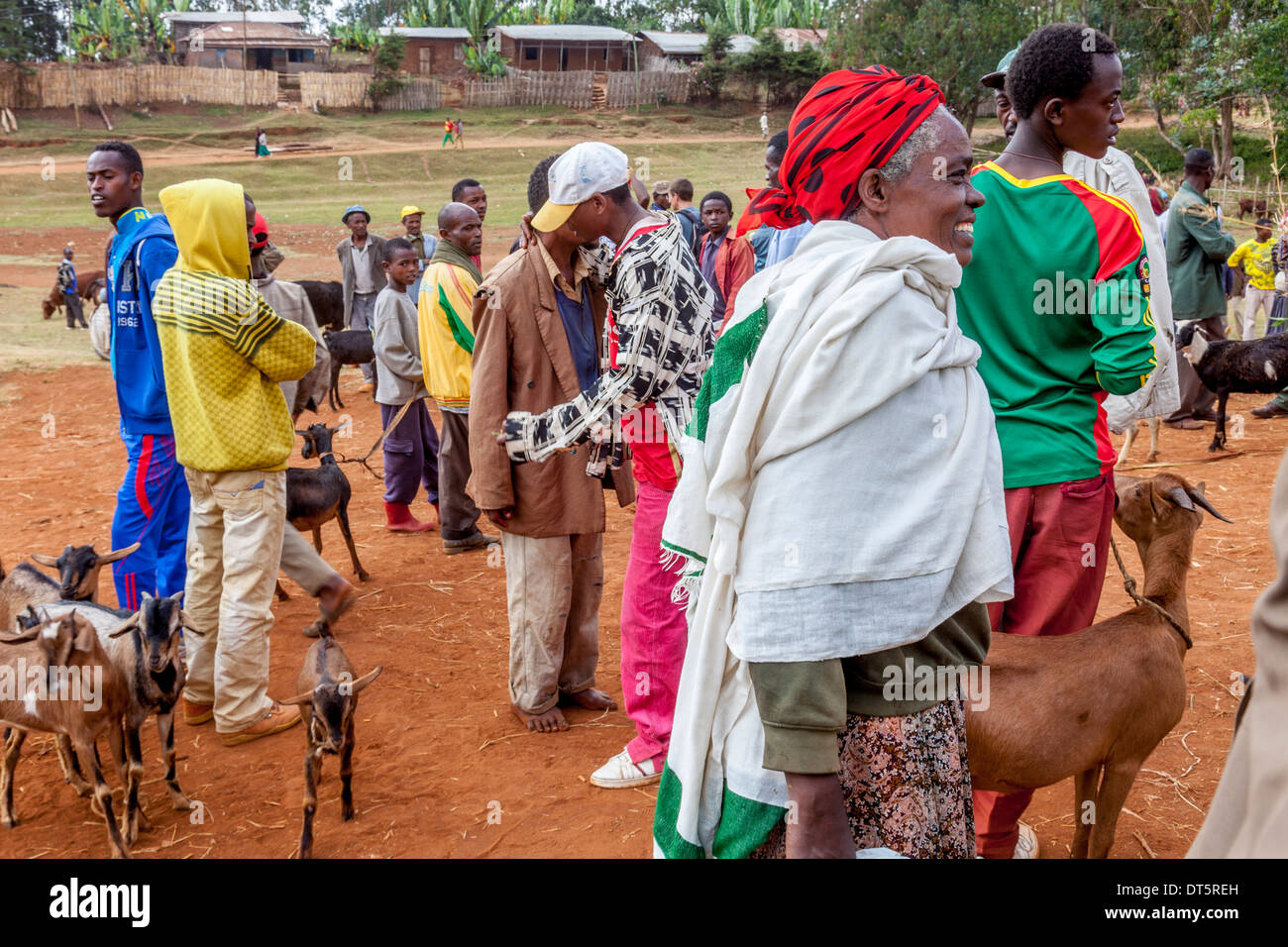 Il Giovedì Mercato del Bestiame nel villaggio di Dorze di Hayto, vicino Arba Minch, Etiopia Foto Stock