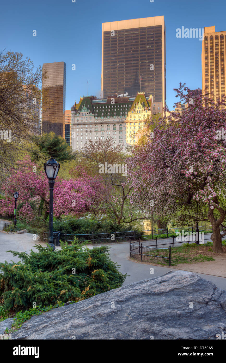 La molla nel Central Park di New York City di fronte al Plaza hotel Foto Stock