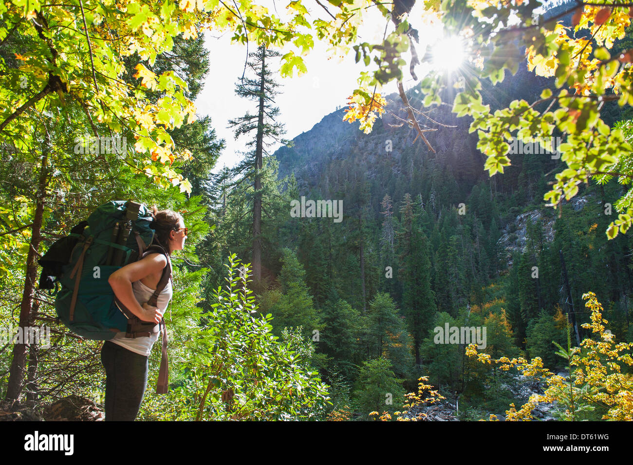 Giovani femmine escursionista nella foresta, Trinità Alpi, CALIFORNIA, STATI UNITI D'AMERICA Foto Stock