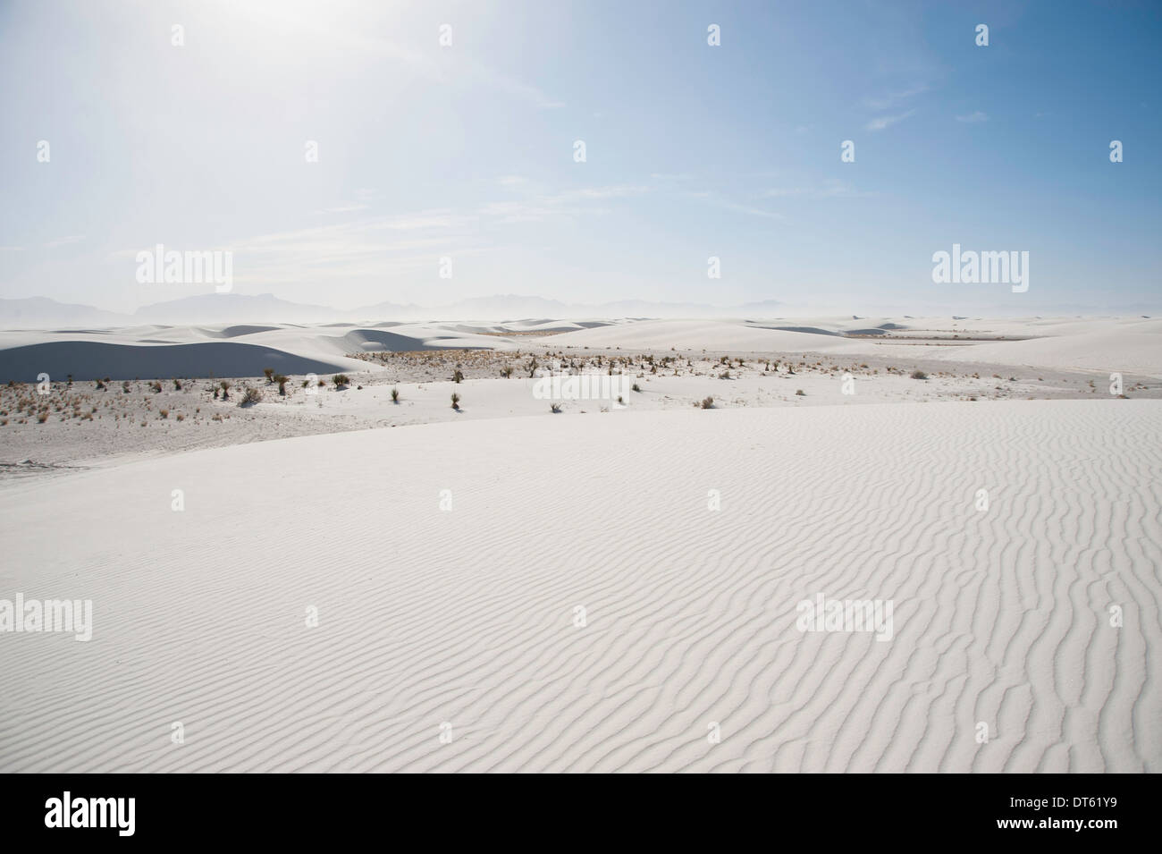 Le dune di sabbia, sabbie bianche, Nuovo Messico, STATI UNITI D'AMERICA Foto Stock