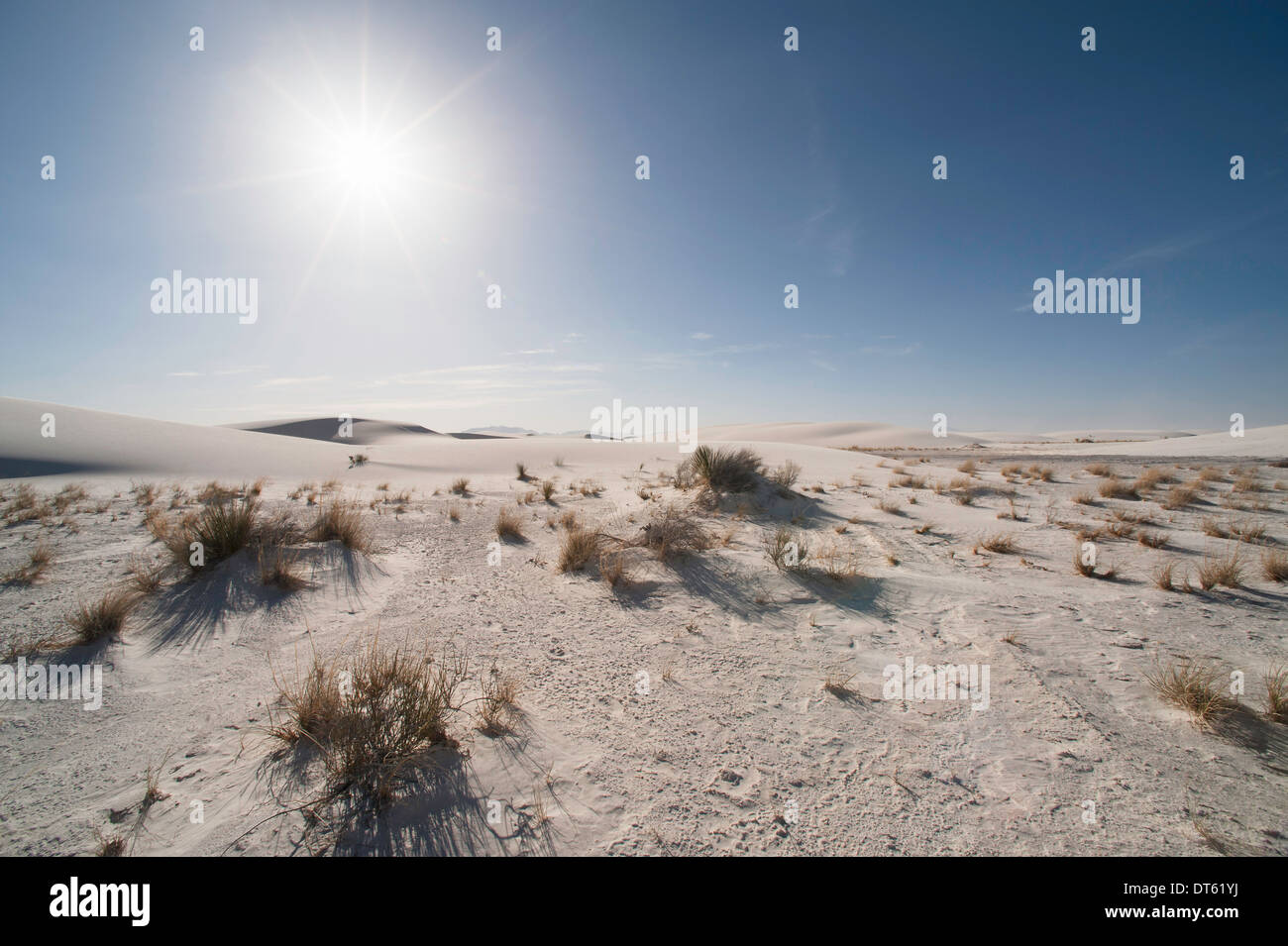 Dune di sabbia e arbusti, White Sands, Nuovo Messico, STATI UNITI D'AMERICA Foto Stock