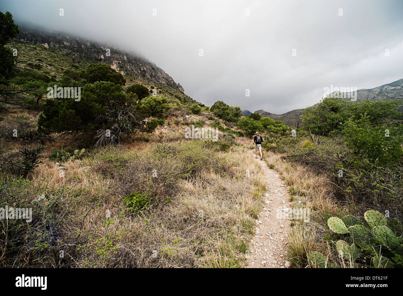 Giovane uomo escursionismo, Guadalupe Mountains, Texas, Stati Uniti d'America Foto Stock