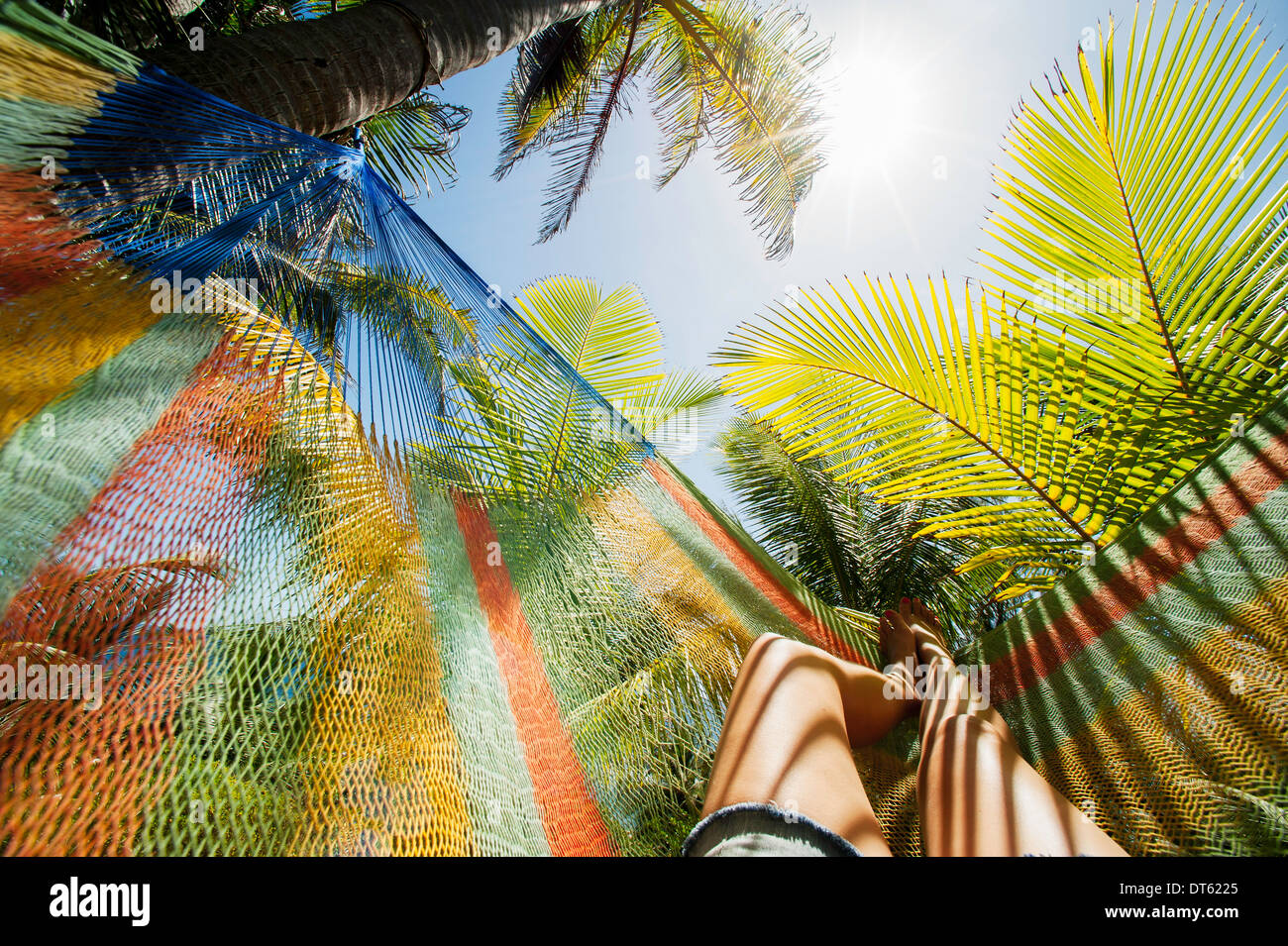 Gambe femmina in amaca tra alberi di palma, Barbados Foto Stock