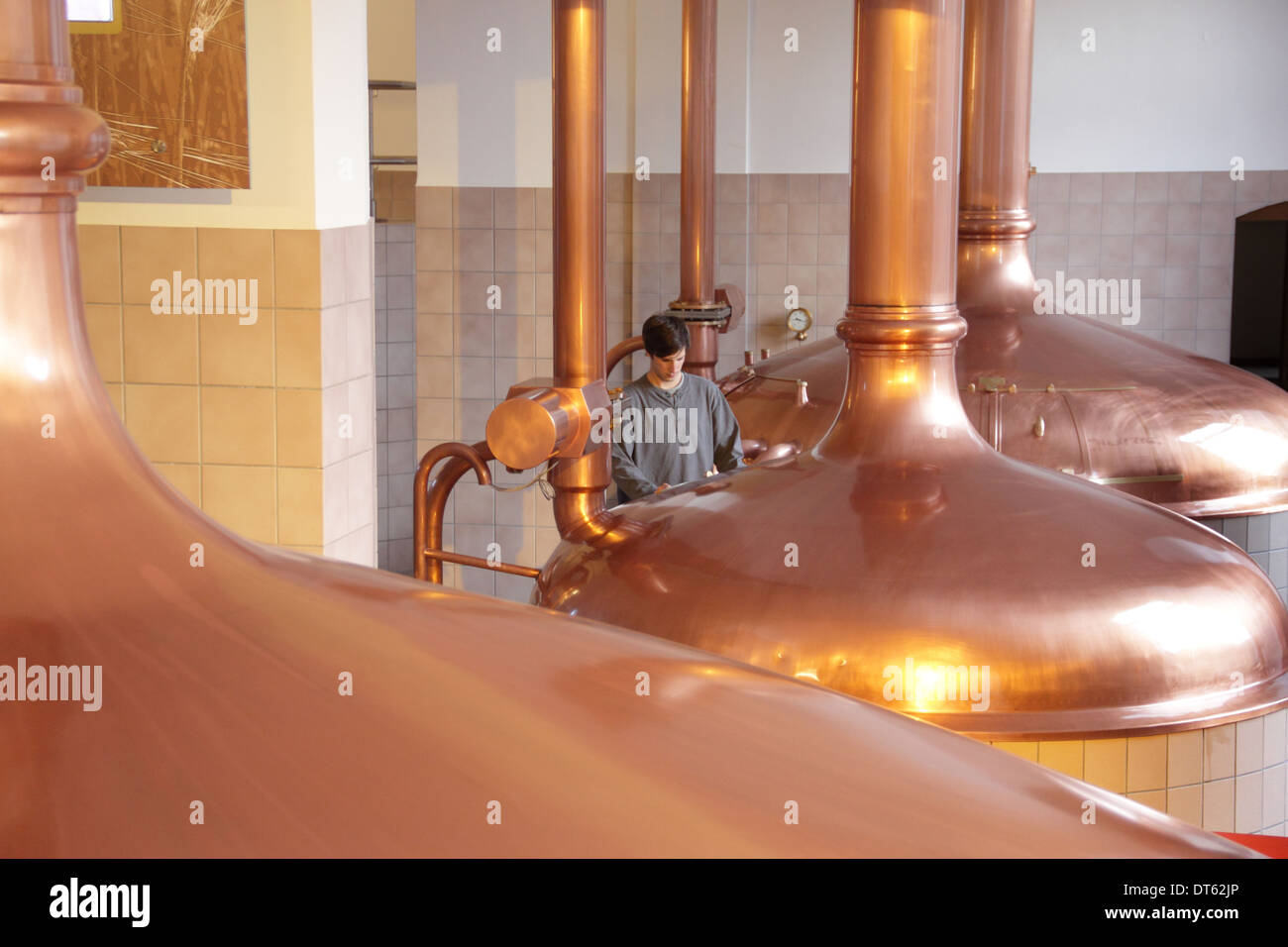 Giovane uomo che lavora nella fabbrica di birra Foto Stock