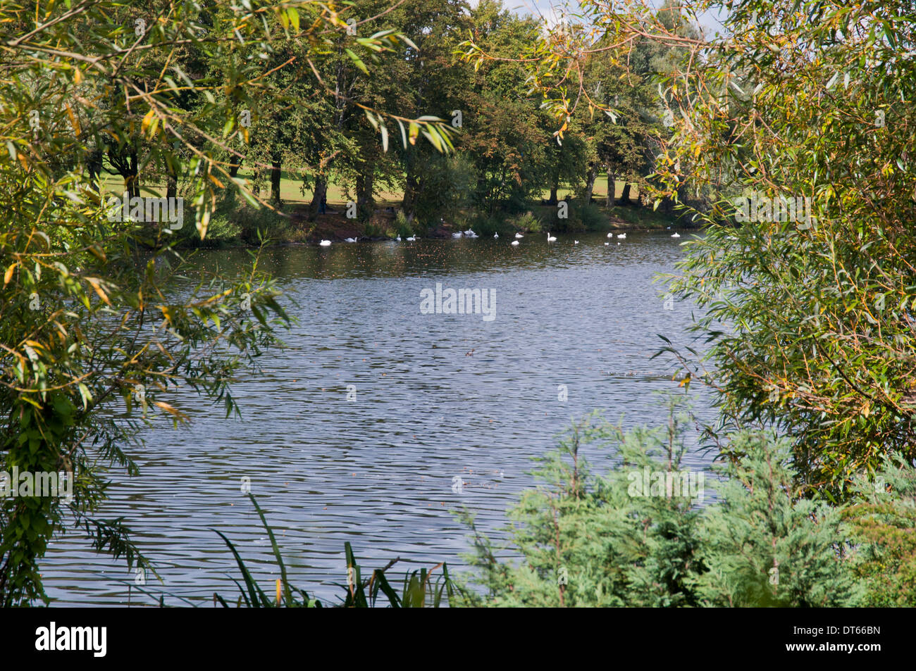 Lago nel Parco Brookvale Erdington, Birmingham Foto Stock