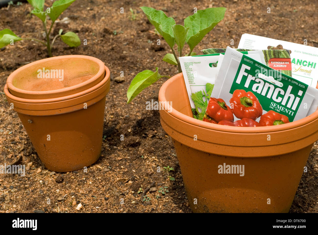 La piantagione di pentole pronto per semi vegetali per essere piantato in giardino. Foto Stock